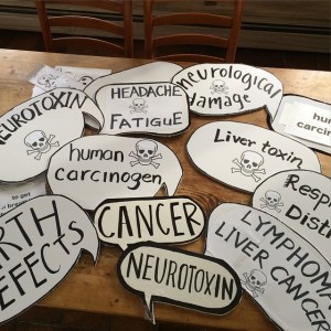 12047200_10207856050183808_5597860243251977171_n